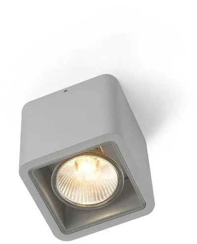 Trizo 21 Code 1 Außenlampe Eloxiert